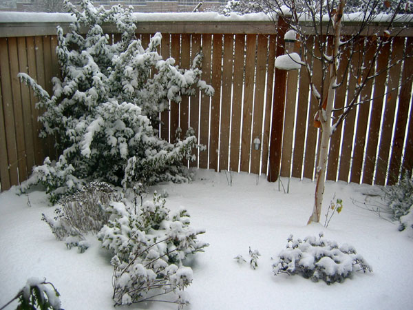 2008decsnow.jpg