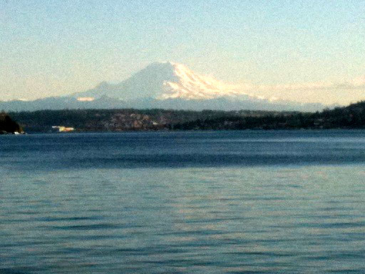 Mount Rainier from Seward Park